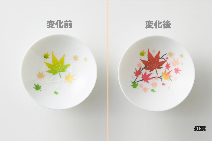 Thermochromic Sake Cup