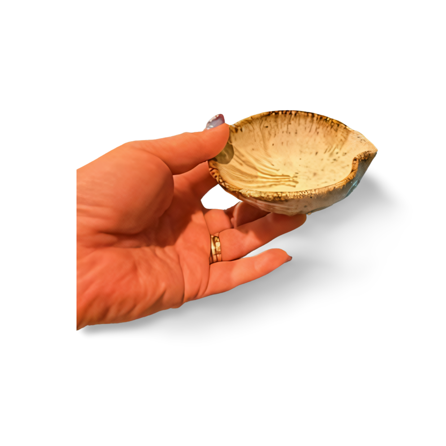 Rice‑Shaped Guinomi – Tojo Akitsu Kiln – Yamada Nishiki Sakeware | Made from Rice Field Clay & Straw Ash Glaze